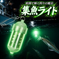 楽天市場】釣 水中ライト 単三電池の通販