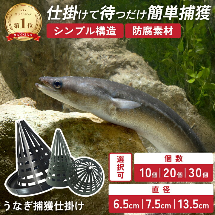 楽天市場】うなぎ 仕掛け 筒 ウナギ釣り 捕獲 カゴ アナゴ 小魚 罠 