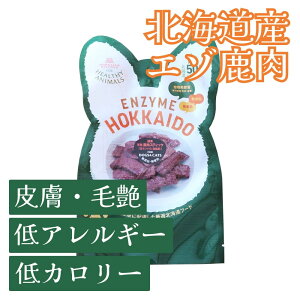 y2ȏőzkCY n G]XeBbNW[L[iAyyf{zj YEF yELpz