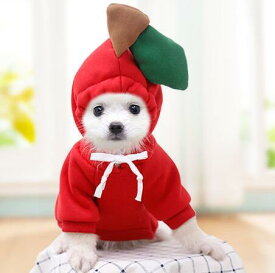 楽天市場 りんご ドッグウェア 犬用品 ペット ペットグッズの通販