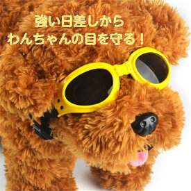 楽天市場 小型犬 サングラス 白内障の通販