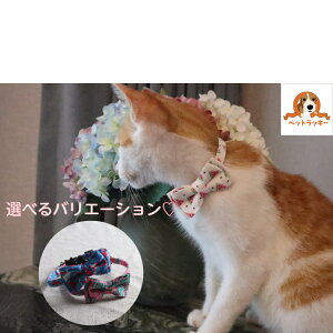猫 首輪 かわいいの人気商品 通販 価格比較 価格 Com 猫 首輪 かわいいの人気商品 通販 価格比較 価格 Com