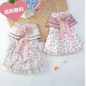  hbOEFA s[X ybg   t ĕ ĕ 킢  XJ[g sN zCg ̎q  { t  _bNXth }`[Y ` gCv