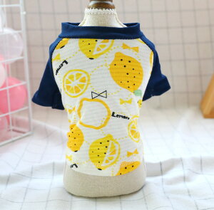 y݌ɌzhbOEFA ybg  TVc   킢  іh~ ^ ^  v`v XS S M L XL  F CG[   _bNXth }`