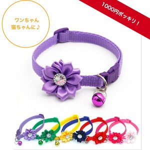猫 首輪 かわいいの人気商品 通販 価格比較 価格 Com 猫 首輪 かわいいの人気商品 通販 価格比較 価格 Com