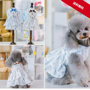 犬用ペット服 ダックスフンド ワンピースの人気商品 通販 価格比較 価格 Com 犬用ペット服 ダックスフンド ワンピースの人気商品 通販 価格比較 価格 Com