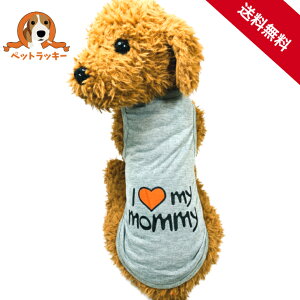  1000~|bL hbOEFA ybg ^Ngbv   t t  킢 іh~  ^ ^ ^ S M L XL XXL j̎q ̎q v[g 蕨 O[ v`v