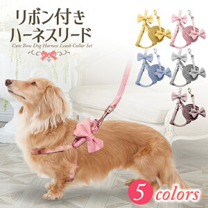 p n[lX [h Z[ ^ t  ybgpi n[lX[h ybg[h U fj  o t  u[ CG[ ^  { ` _bNXth