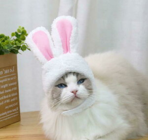 ybg Xq nEB RX`[ L  ^ Xq J{` 킢 JCC  IW M nEB[  h  gCv[h ` _bNXth _b
