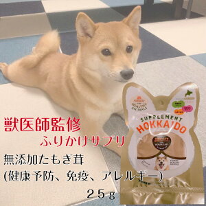 SALE|Cg2{ywőz Tv Tvg N\h Ɖu AM[ 얞 ybg ӂ肩 Y F AQ L  N S S btďC 