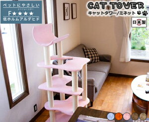 Lbg^[ Y yMinettez~lbg ybgObY Lpi Lbg^[ Y u^ ^ꂵɂ X RpNg ȃXy[X