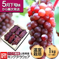 キングデラウェア山梨 訳あり ぶどう デラウエア ハウス 温室栽培 種なし 山梨県産 葡萄 ご家庭用 キング…