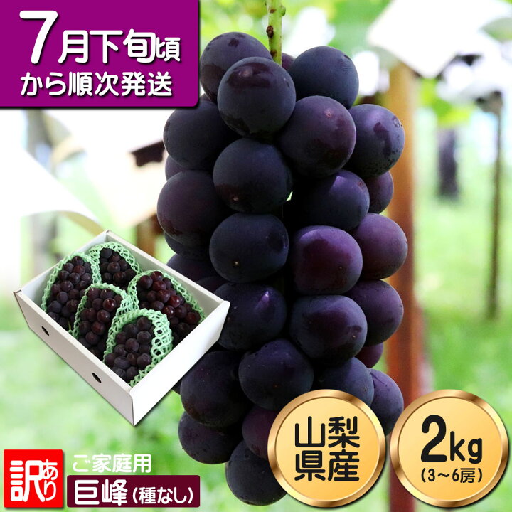 楽天市場】【予約販売】巨峰 訳あり ぶどう 種なし 山梨県産 葡萄 ご 