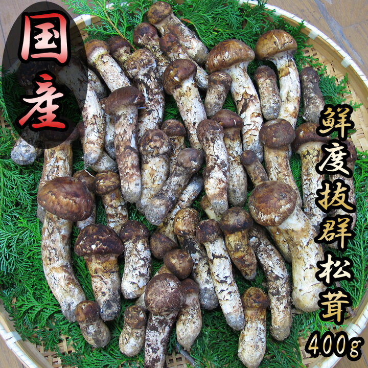 楽天市場】松茸 国産 まつたけ 400g 山梨県産 マツタケ 日本国産 400  