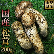 松茸 国産 200g まつたけ 山梨県産 マツタケ つぼみ 日本国産 新鮮 朝採り 純国産 天然松茸 200グラム 鮮…