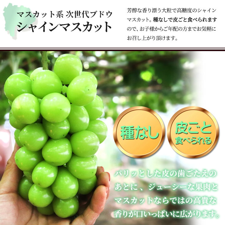 楽天市場】シャインマスカット 4kg 訳あり 山梨県産 粒不揃い 路地栽培 