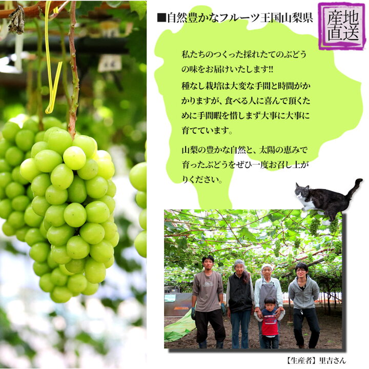楽天市場】シャインマスカット 4kg 訳あり 山梨県産 粒不揃い 路地栽培 