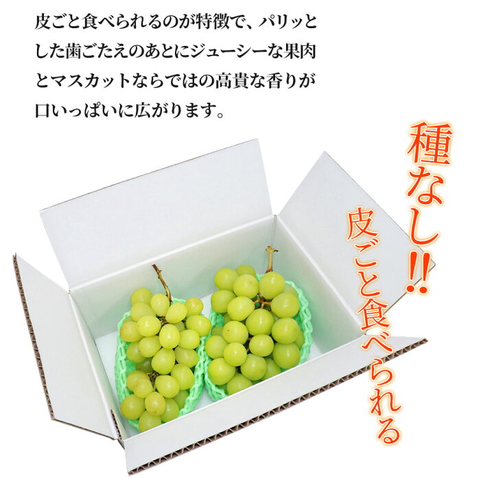 楽天市場】シャインマスカット 訳あり 1kg ハウス 山梨県産 粒不揃い 