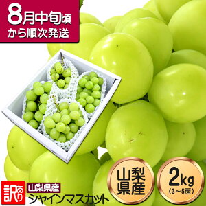 VC}XJbg 󂠂 2kg Ԃǂ RY s Hn͔| }XJbg uhE  Ԃǂ 3[`5[ hV̓ ƒp v[g Mtg