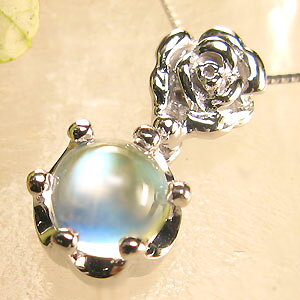 C{[[Xg[ y_ggbv KN  XCO fB[X y_g K10 v[g ̓ 2023