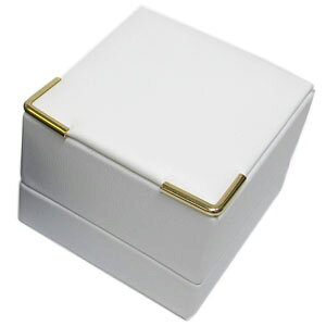 WG[P[X OwփP[X([) uC_ zCg