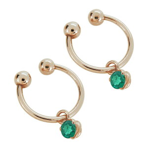 C[Jt fB[X Gh h CO 킢 k10 mz[sAX t[v ̓ 2024