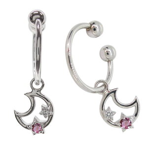 CO Ԃ牺^Cv C[Jt fB[X Vv ͂ a ɂȂ mz[sAX v`i CO t[v ɂȂ i ̓ 2024