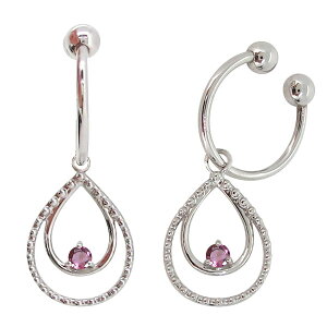 CO C[Jt fB[X sNg} ɂȂ mz[sAX v`i  ̓ 2024