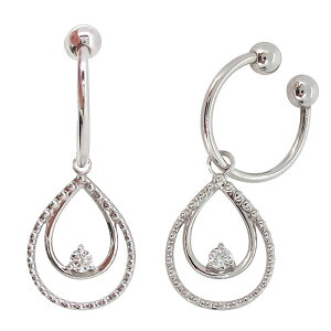 CO C[Jt fB[X _Ch ɂȂ mz[sAX v`i  ̓ 2024