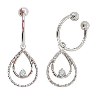 CO C[Jt fB[X Cu[[Xg[ ɂȂ mz[sAX v`i  ̓ 2024