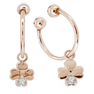 t[vCO S[h C[Jt  Cu[[Xg[ CO  N[o[ K10