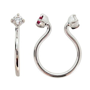 t[vCO v`i _Ch CO ɂȂ mz[sAX C[Jt Vv fB[X o[Vu ̓ 2024