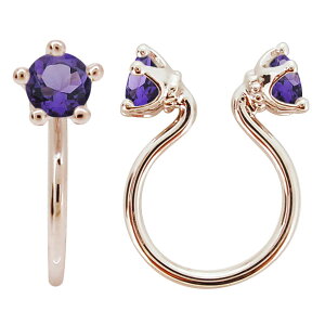 C[Jt Vv fB[X  mz[sAX  CO  a AWXg Ў ̓ 2024