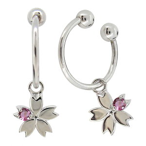  sAX mz[ h CO  v`i fB[X C[Jt 10a sNg} ̓ 2024