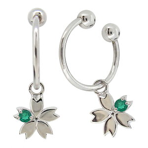  sAX mz[ h CO  v`i fB[X C[Jt 5a Gh ̓ 2024