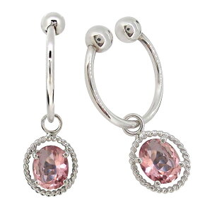 v`i sAX t[v h sNg} mz[ CO ɂȂ C[Jt fB[X ̓ 2024