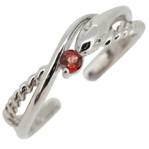 C[Jt wr  ւ fB[X mz[sAX Ў v`i K[lbg a 1