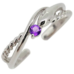 C[Jt wr  ւ fB[X mz[sAX Ў v`i AWXg a 2