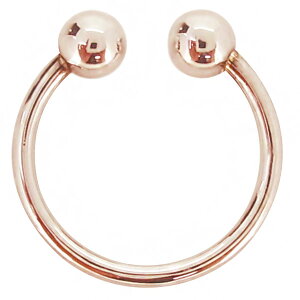 C[Jt fB[X Vv ۋ t[v CO  mz[sAX ɂȂ k10 sN CG[ Ў ̓ 2023