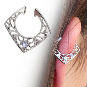 C[Jt fB[X v`i Ў CJt Iׂa mz[sAX