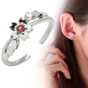 mz[sAX   C[Jt TN fB[X v`i Ў K[lbg