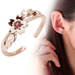 C[Jt fB[X  TN Ў a 1 K[lbg 10 10k CJt `[t