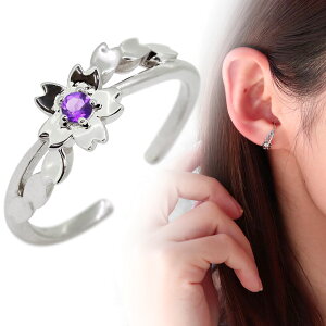 mz[sAX   C[Jt TN fB[X v`i Ў AWXg