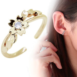 C[Jt 18k 18  CJt Ў Cu[[Xg[ a 6  TN CO