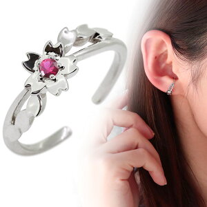 mz[sAX   C[Jt TN fB[X v`i Ў r[