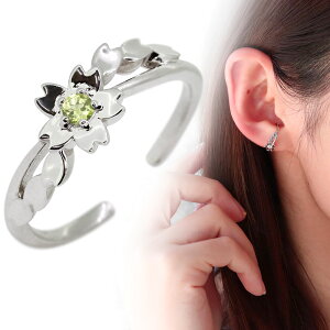 mz[sAX   C[Jt TN fB[X v`i Ў yhbg