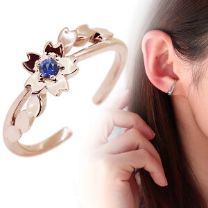 C[Jt fB[X  TN Ў a 9 Tt@CA 10 10k CJt `[t