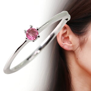 C[Jt fB[X Vv NE ؚ v`i sNg} Ўp mz[sAX CJt