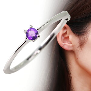 C[Jt fB[X Vv NE ؚ v`i AWXg Ўp mz[sAX CJt