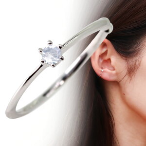 C[Jt fB[X Vv NE ؚ v`i Cu[[Xg[ Ўp mz[sAX CJt